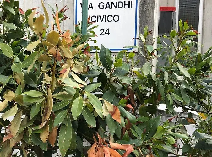 Nannare' Appartament * Reggio d'Emilie